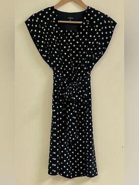 J. Peterman 100% Silk Polka Dot Knee Length Dress Size 6 Tie Waist